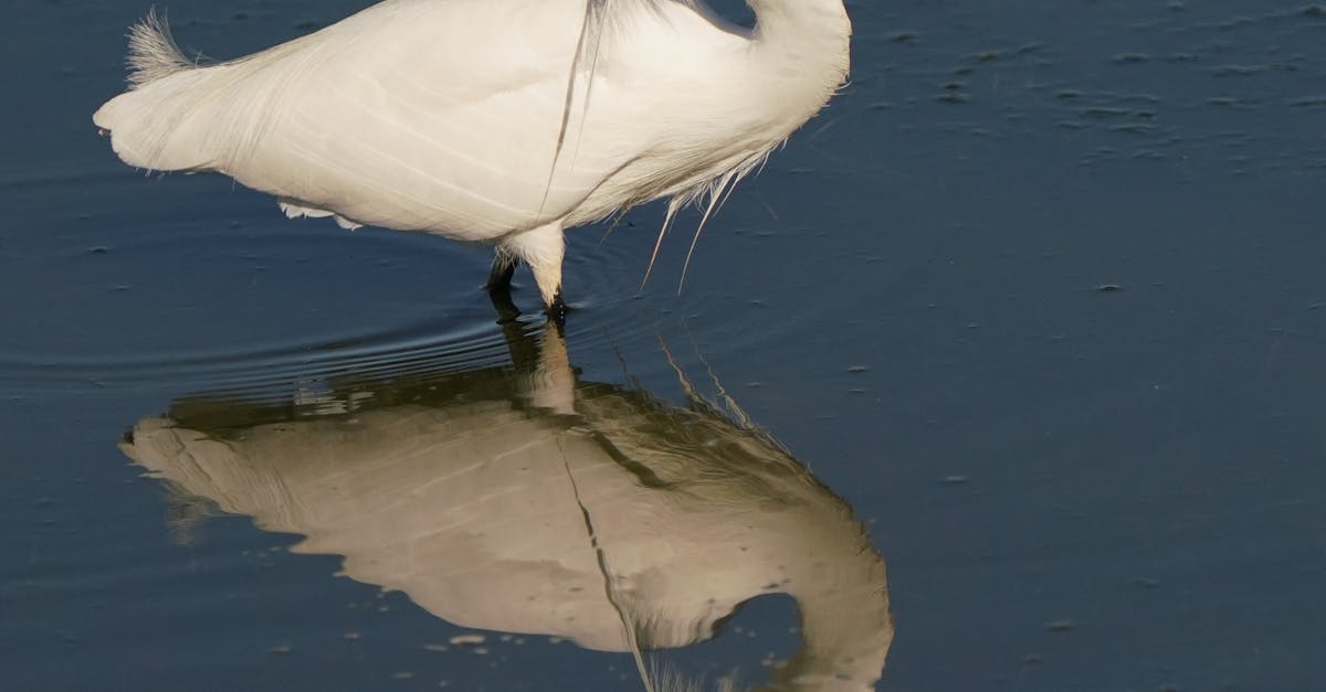 A Step-by-Step Guide to DIY Kitchen Renovation
