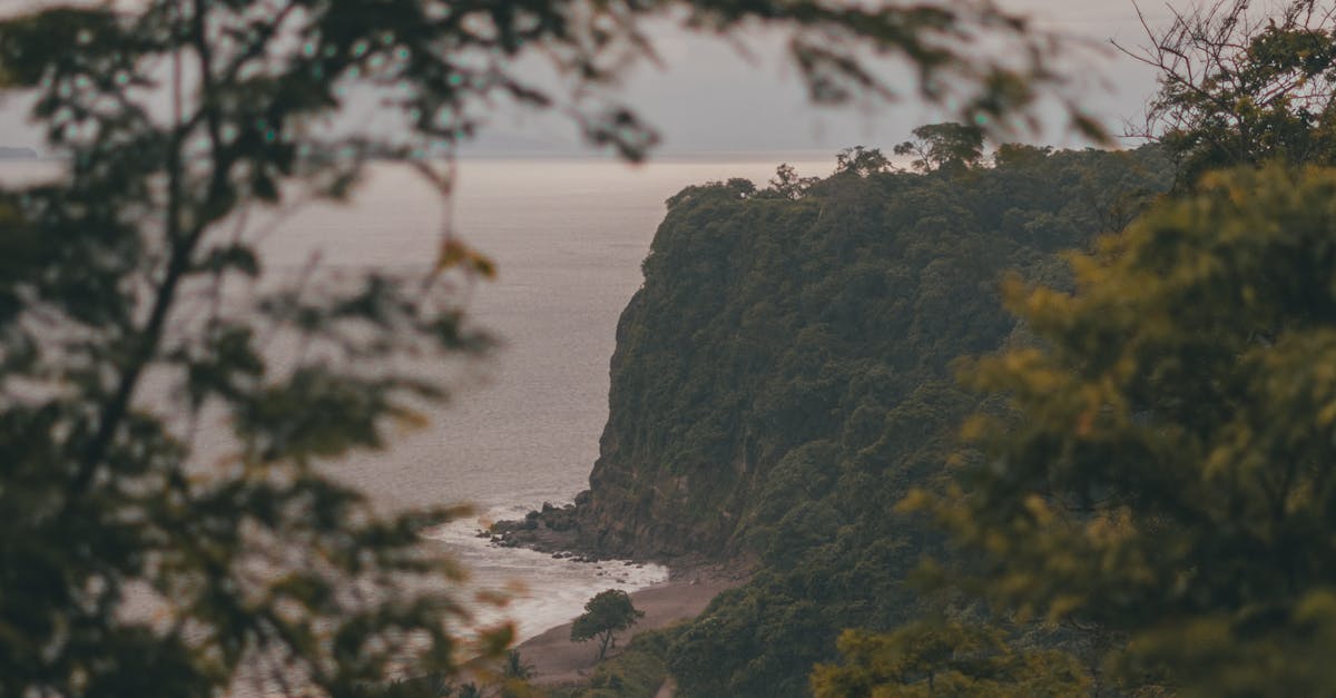 Balancing Aesthetics and Functionality in Interior Design