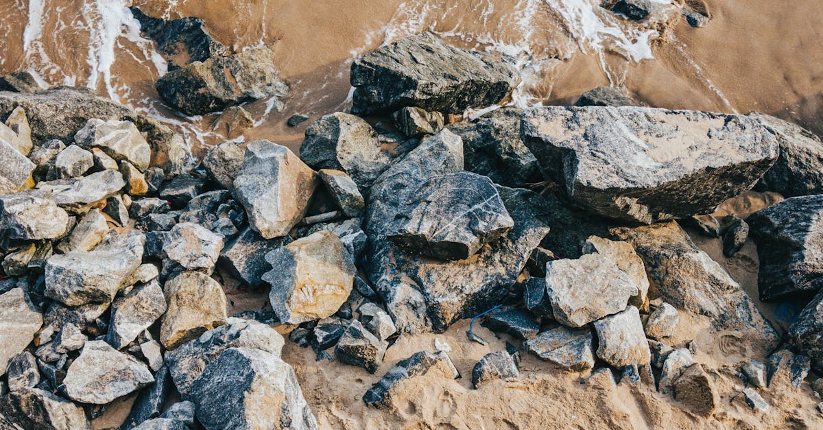 Building a Green Outdoor Space: Ideas for Sustainability