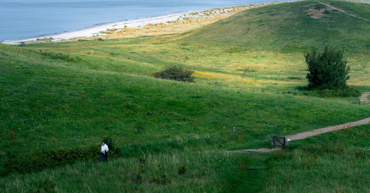 Creating a Sustainable Garden with Native Species