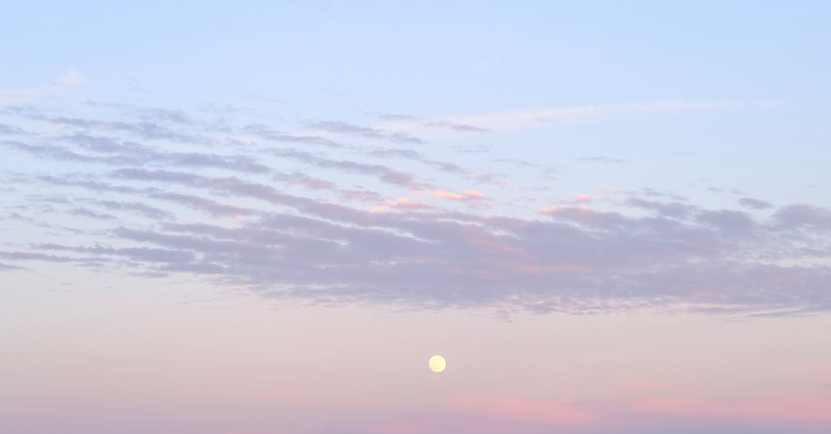 Effective Techniques for Gutter Cleaning in Coastal Homes