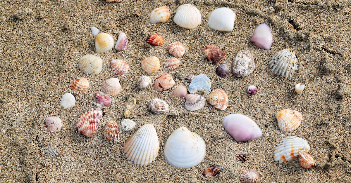 Essential Safety Tips for DIY Electrical Repairs