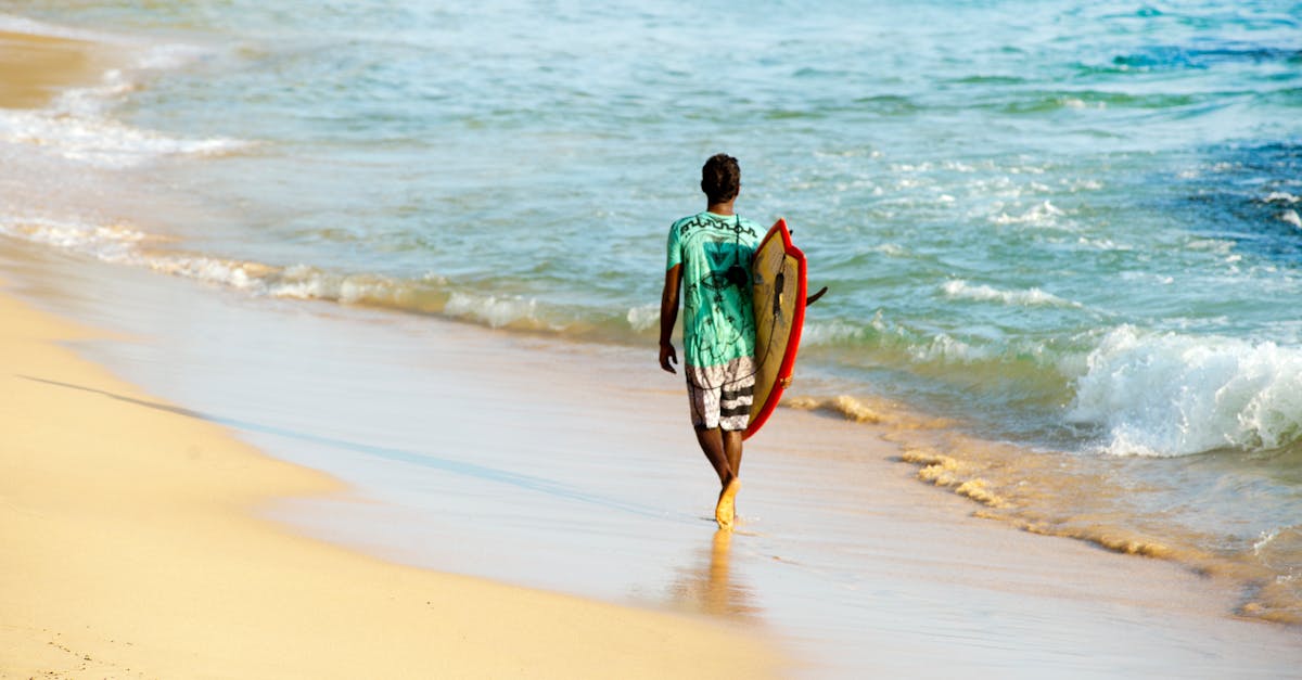 How to Choose the Right Wood for Your Carpentry Projects