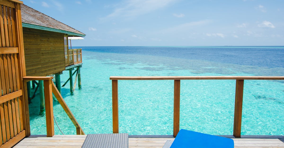 Identifying Signs That Your Plumbing Needs Immediate Attention