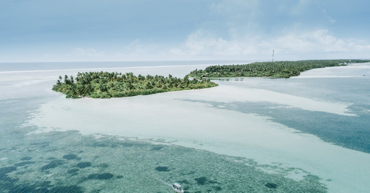 Improving Home Insulation with Eco-Conscious Methods