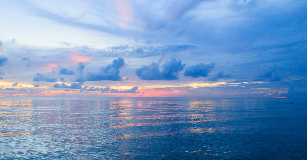 Incorporating Sustainable Materials into Your Home Renovation