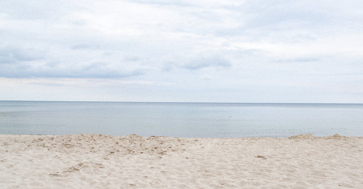 Installing Trim and Moulding: A Step-by-Step Guide