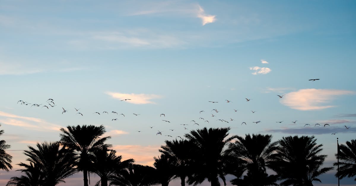 Must-Have Features for Your Outdoor Living Space