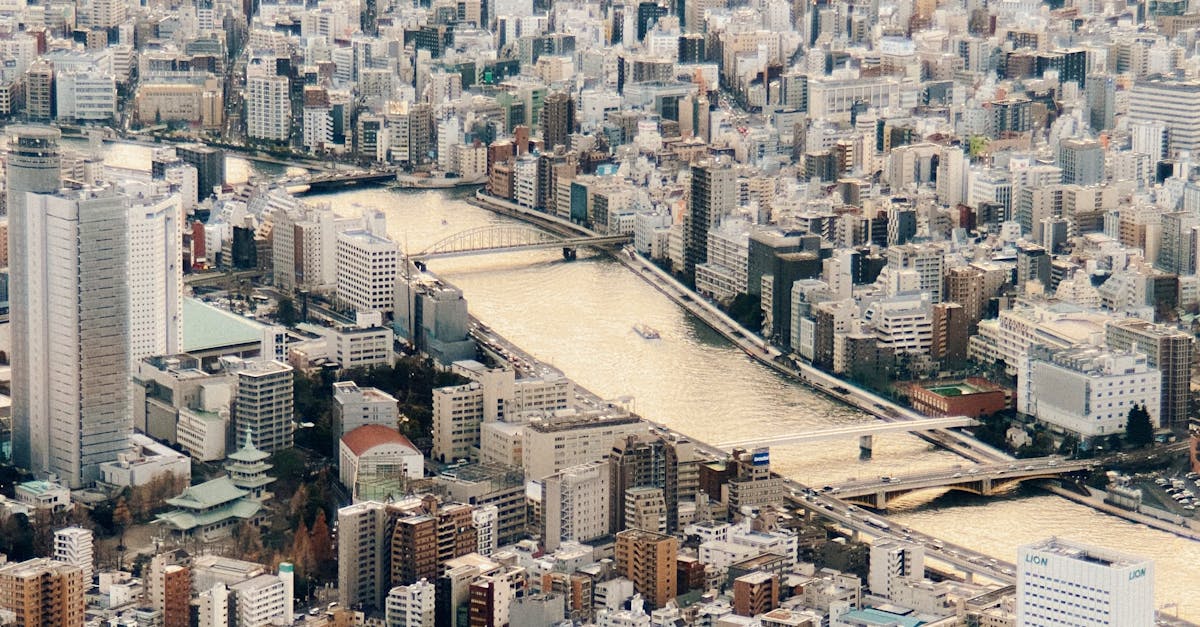 Seasonal Lawn Maintenance Tips for Central Coast Residents