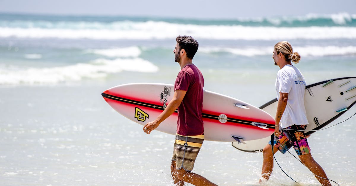 The Environmental Impact of Poor Gutter Maintenance