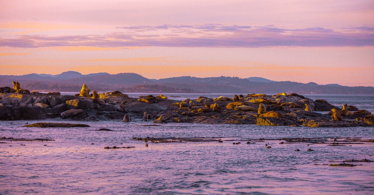 The Importance of Proper Surface Preparation in Painting