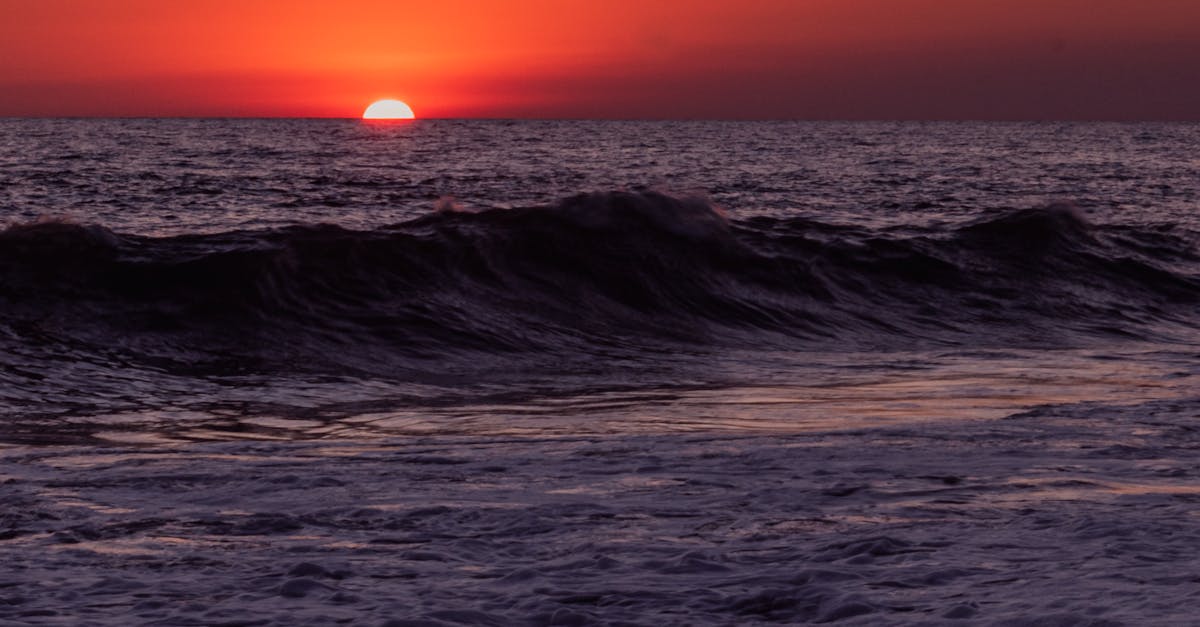 The Importance of Regular Plumbing Inspections for Your Home