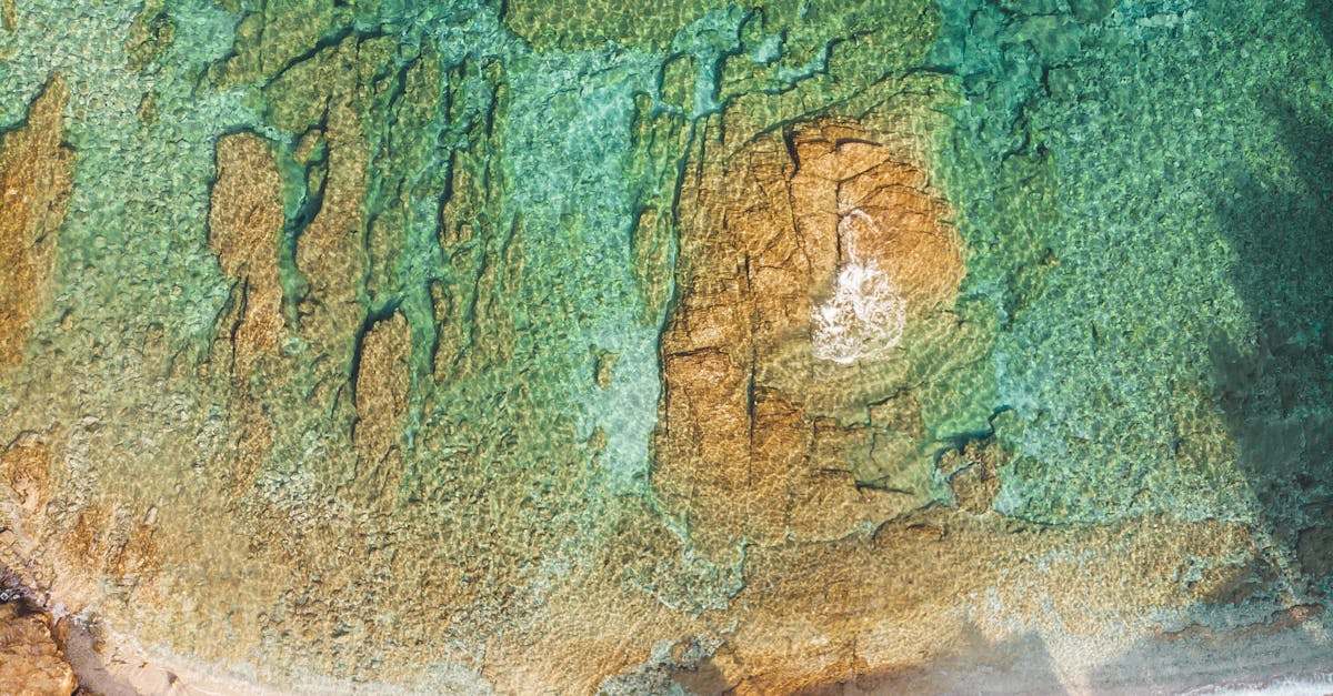 The Importance of Regular Plumbing Maintenance