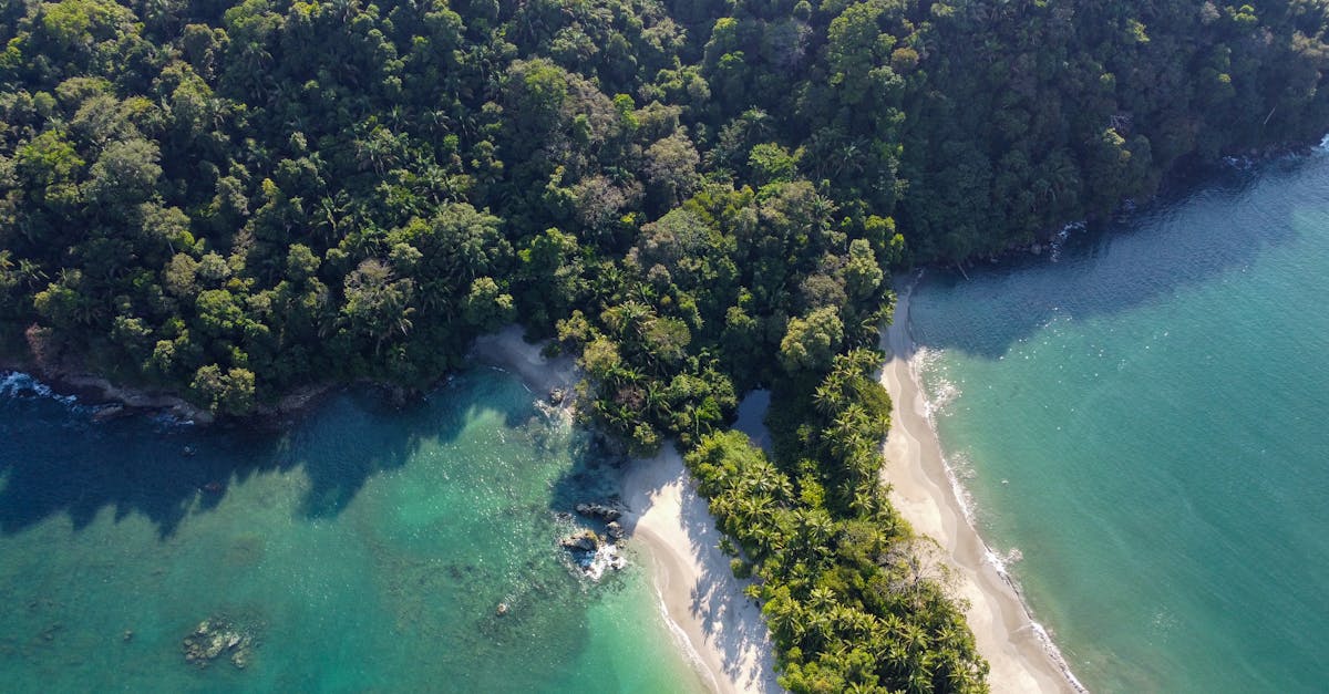 Top Trends in Modern Kitchen Renovations