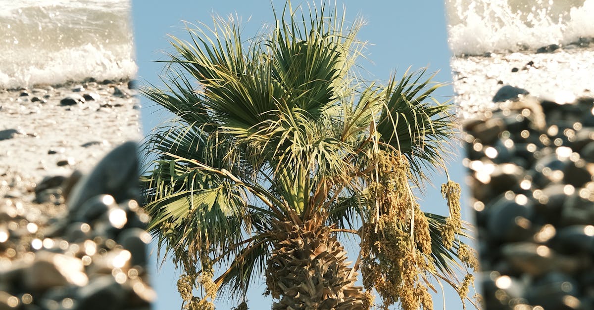 Trends in Modern Australian Interior Design for 2023