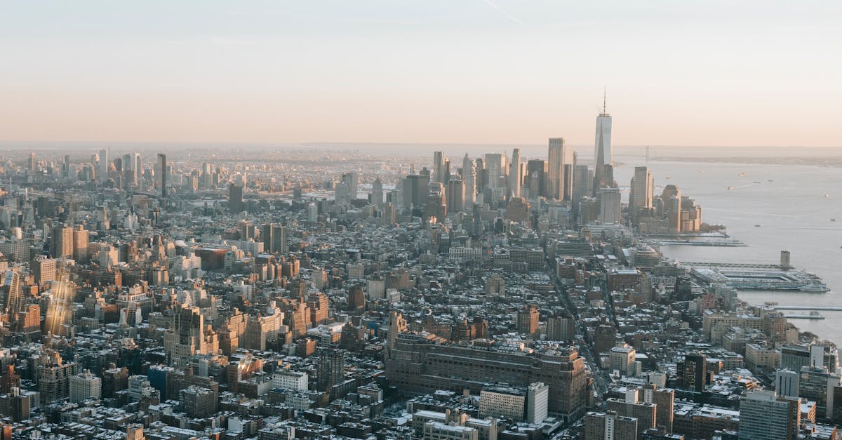 Understanding the Different Types of Paint Primers