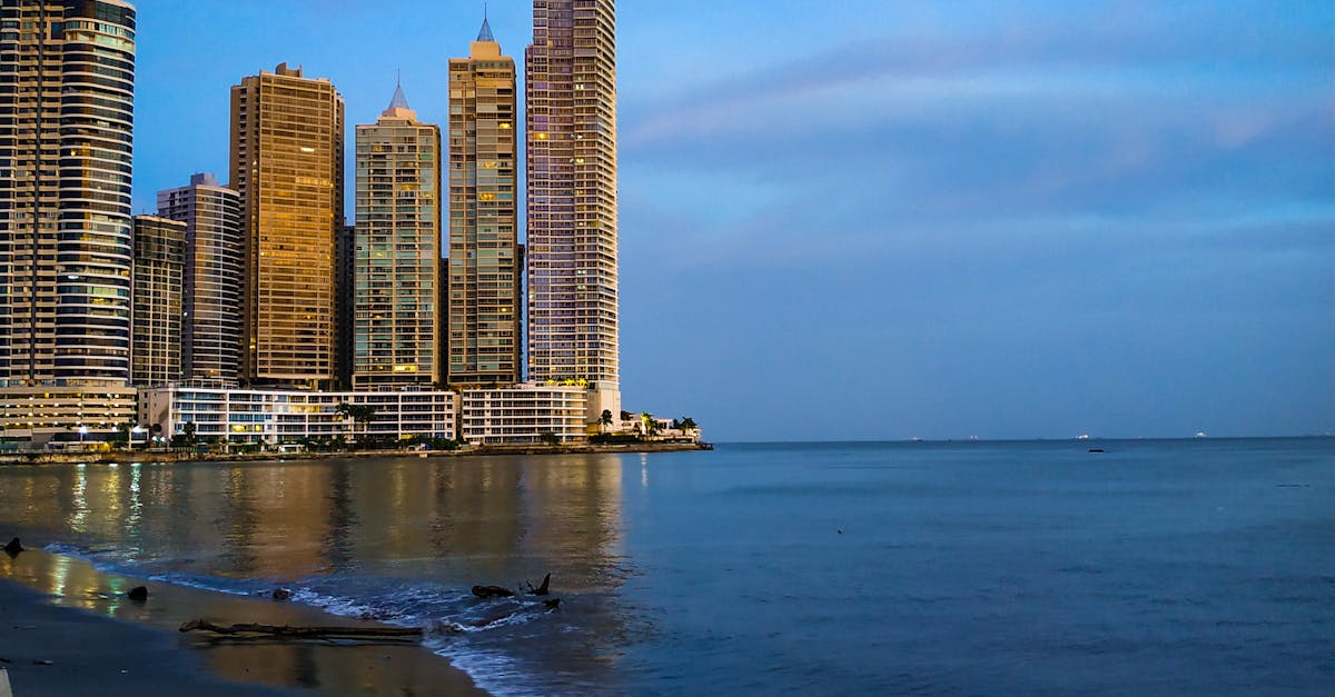 Water-Wise Gardens: Renovation Ideas for Conservation